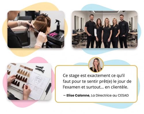 Stage immersif coiffure